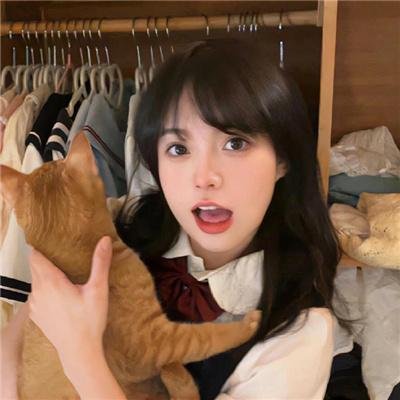 焦头烂鹅